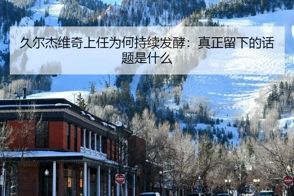 久尔杰维奇上任为何持续发酵：真正留下的话题是什么